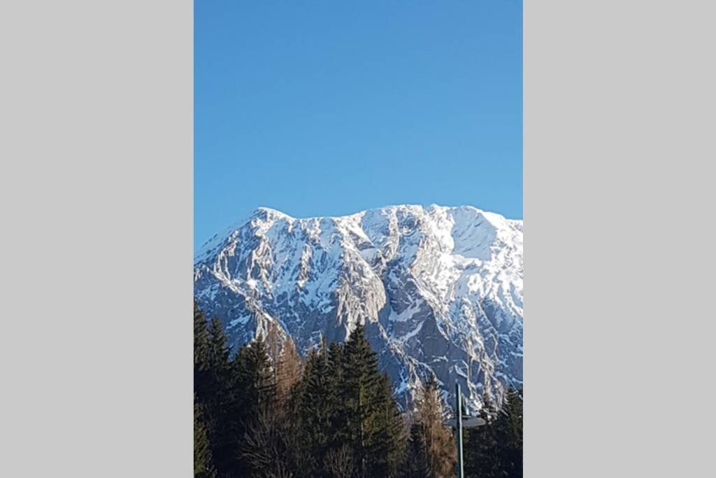 Galerie Wohnung Hechelstein / Top 106 Tauplitz Eksteriør billede